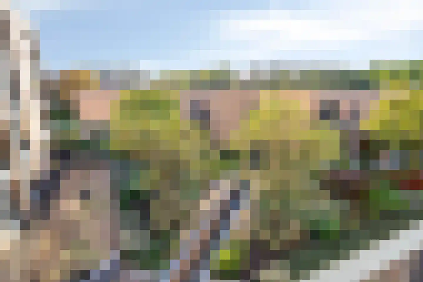 Thujapark 26 Beuningen Gld thumbnail 20