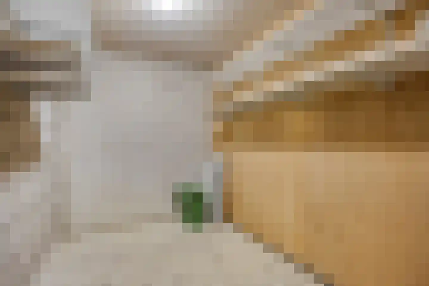 Thujapark 26 Beuningen Gld thumbnail 30