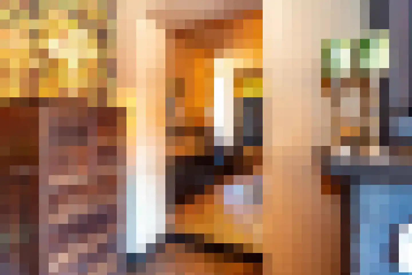Thull 32 Schinnen thumbnail 17