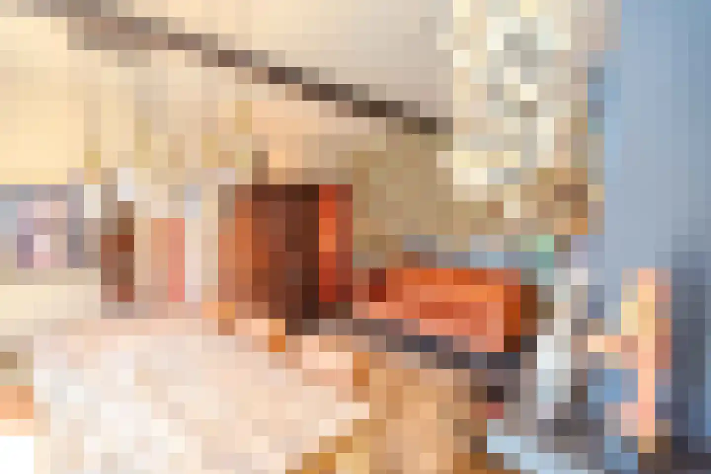 Thull 32 Schinnen thumbnail 25