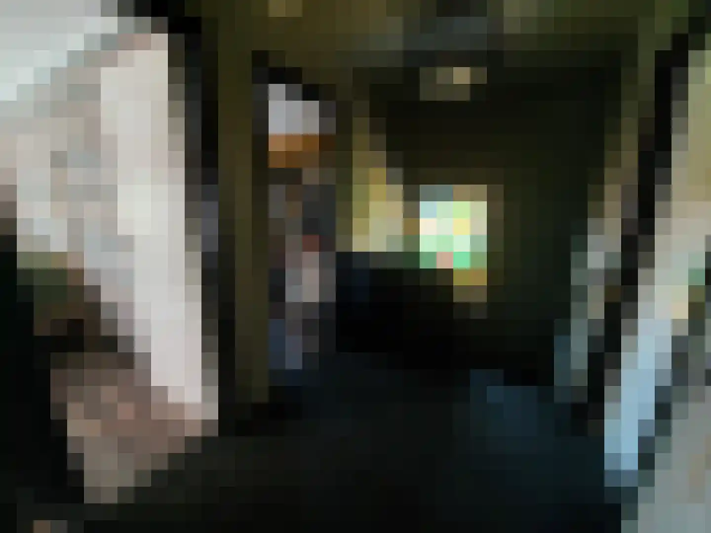 Thull 32 Schinnen thumbnail 28