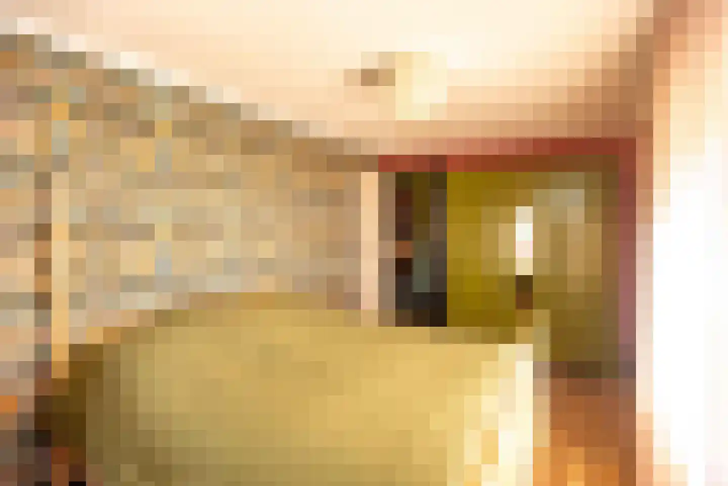 Thull 32 Schinnen thumbnail 32