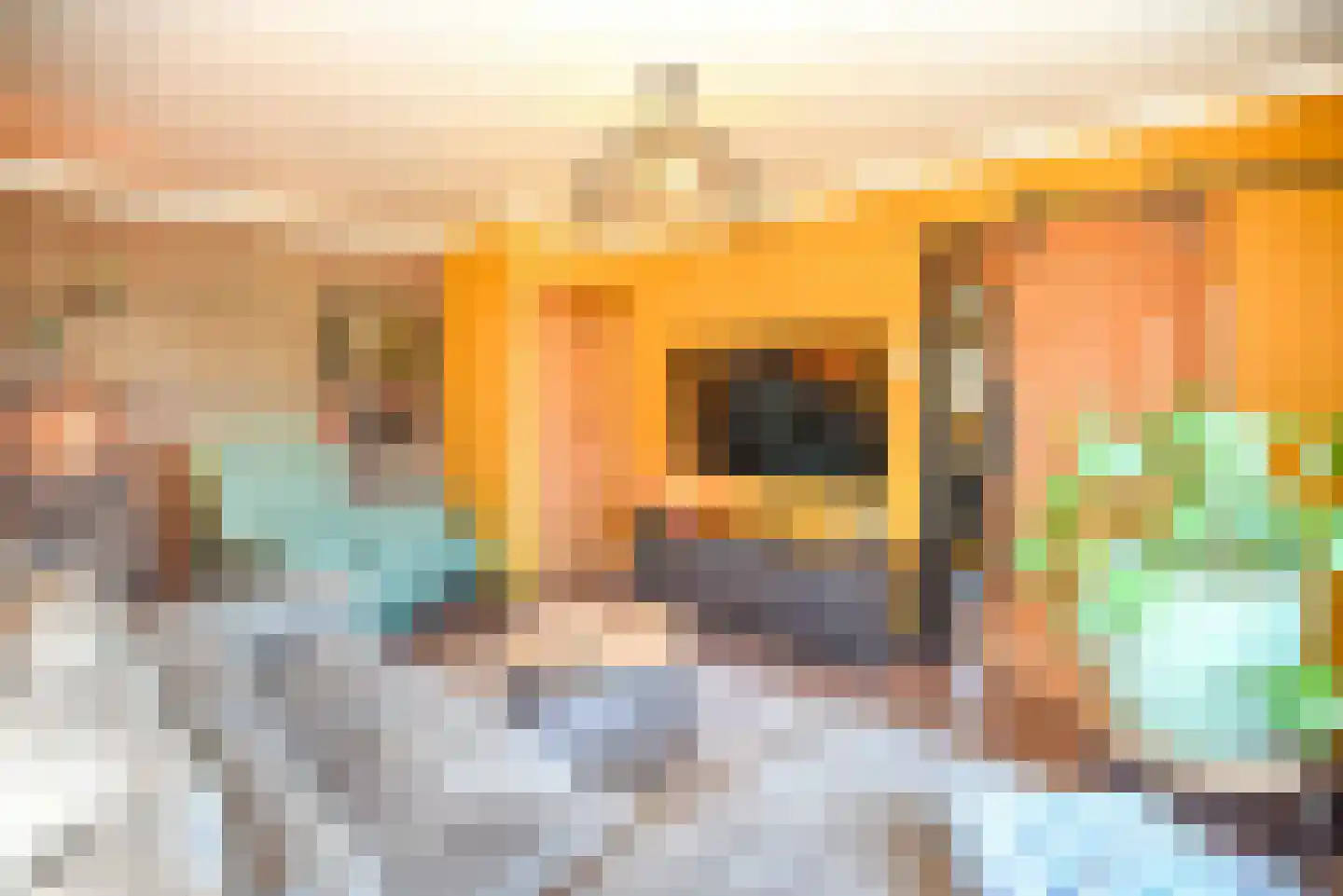 Thull 32 Schinnen thumbnail 39