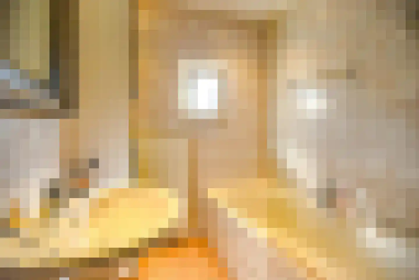 Thull 32 Schinnen thumbnail 46