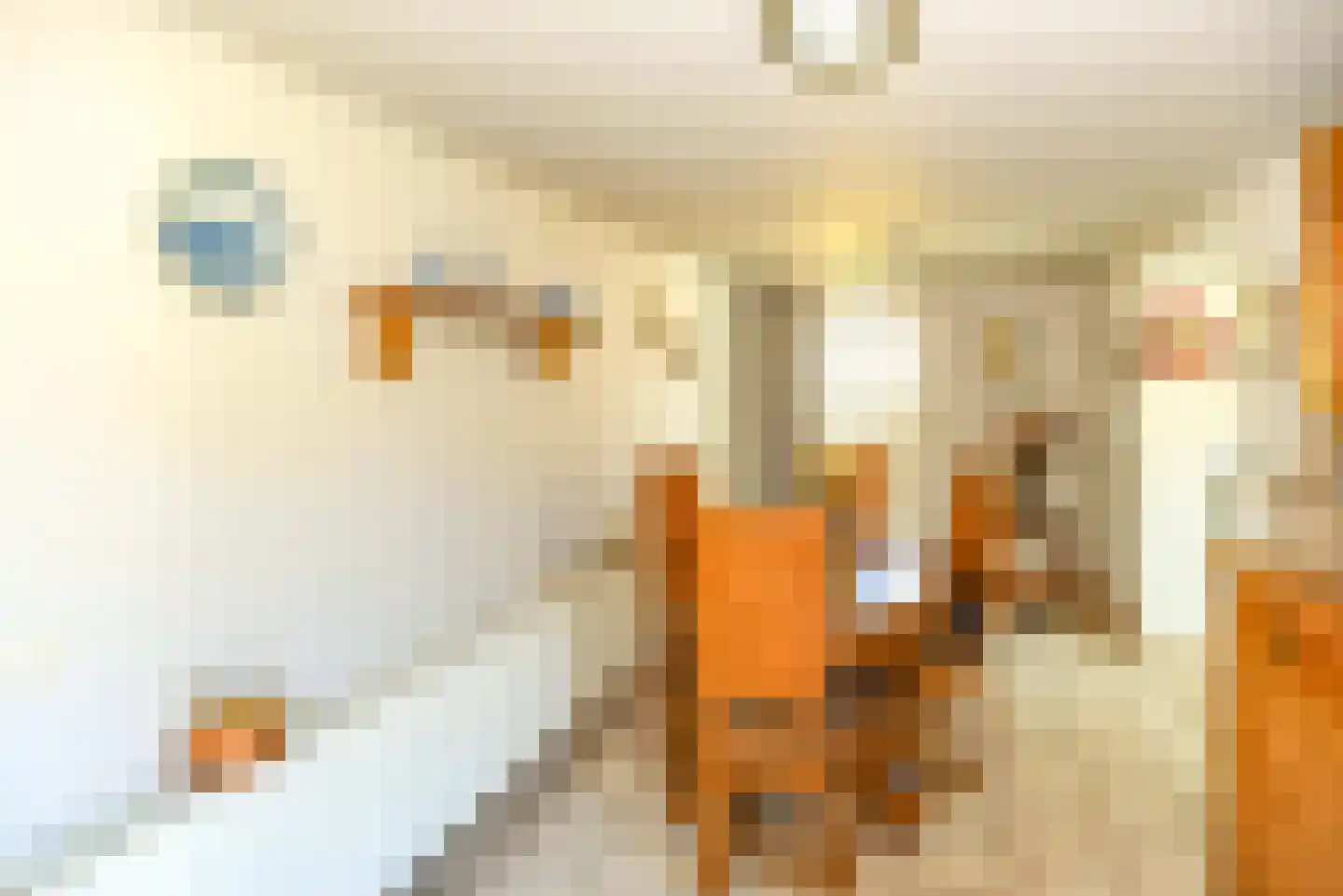 Thull 32 Schinnen thumbnail 52