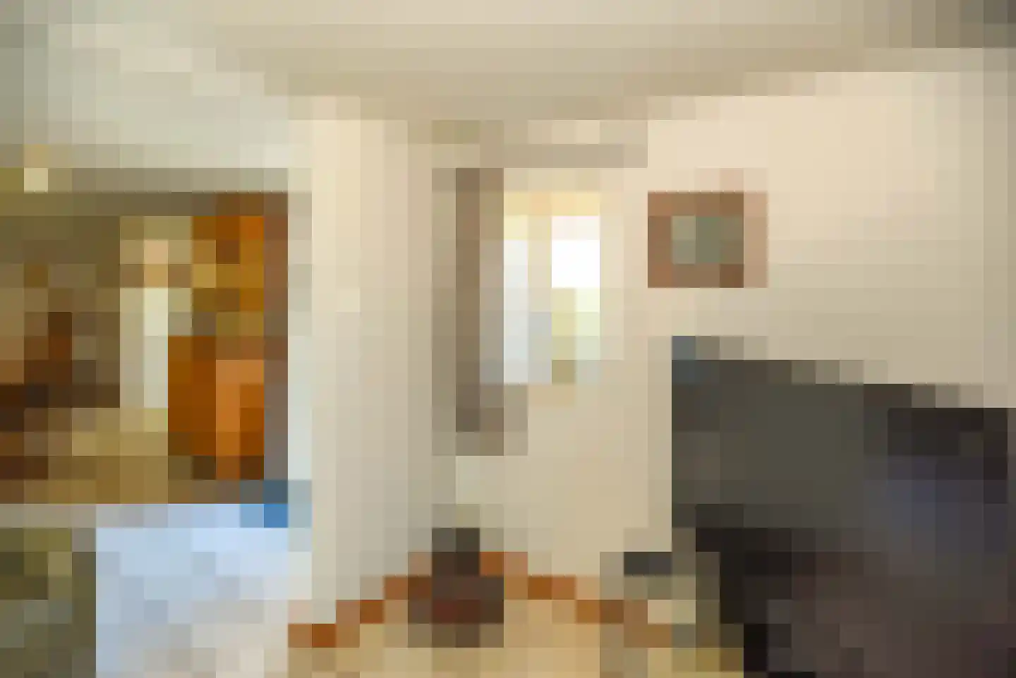 Thull 32 Schinnen thumbnail 54