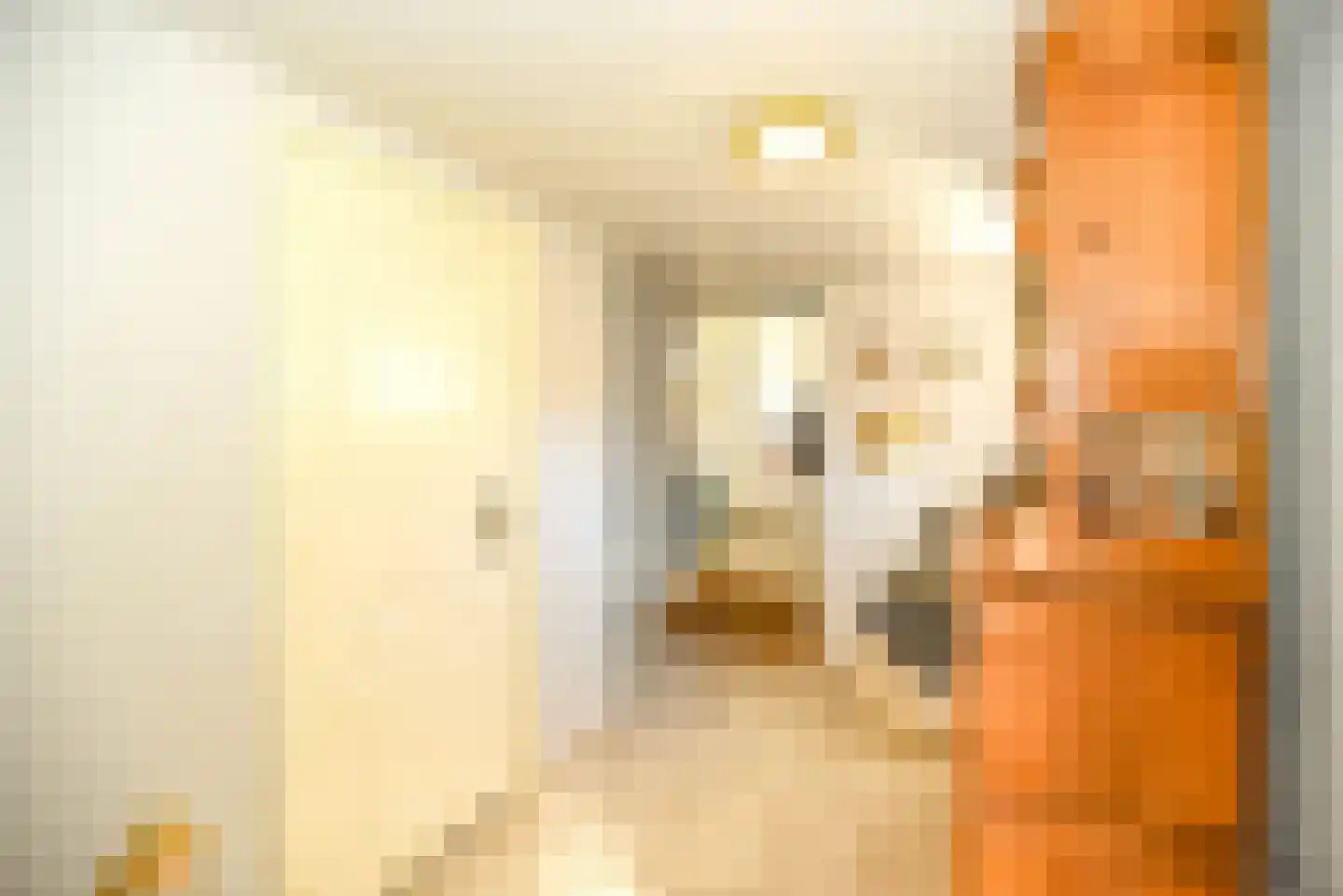 Thull 32 Schinnen thumbnail 55