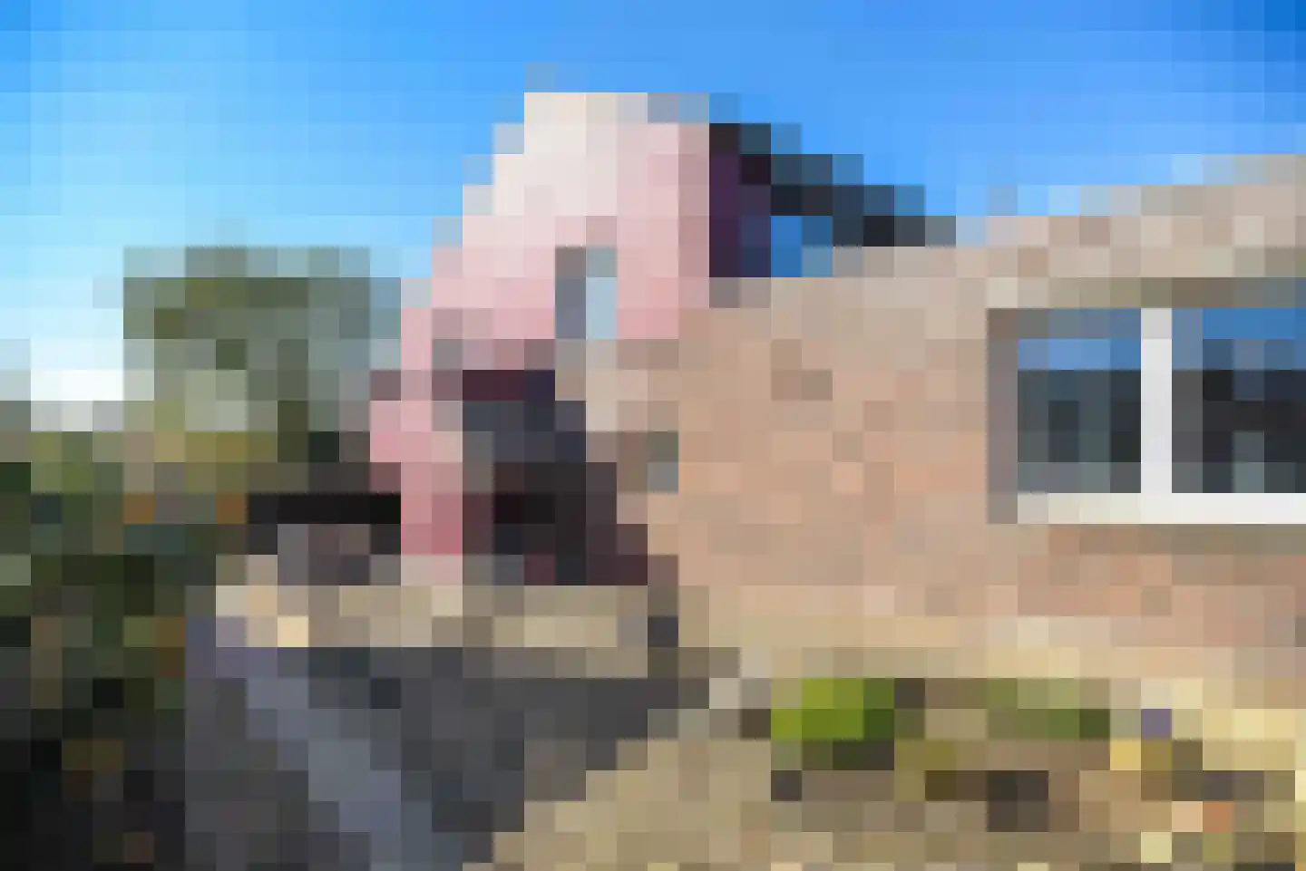 Thull 32 Schinnen thumbnail 61