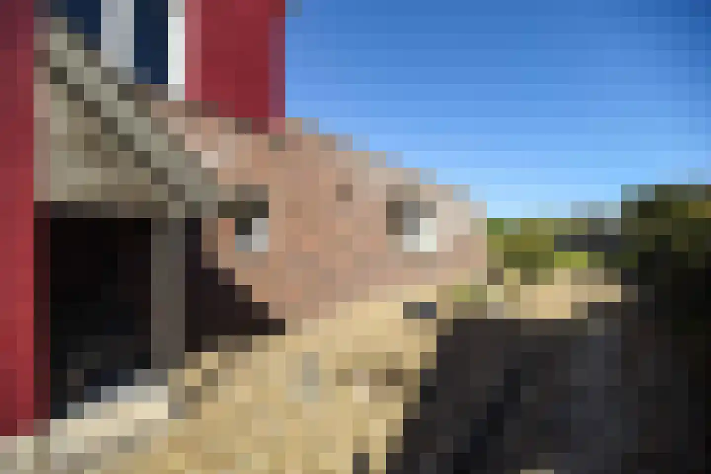Thull 32 Schinnen thumbnail 64