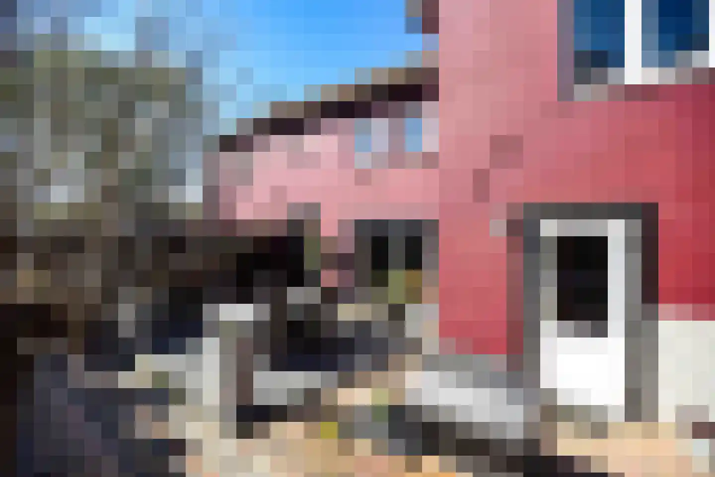 Thull 32 Schinnen thumbnail 65