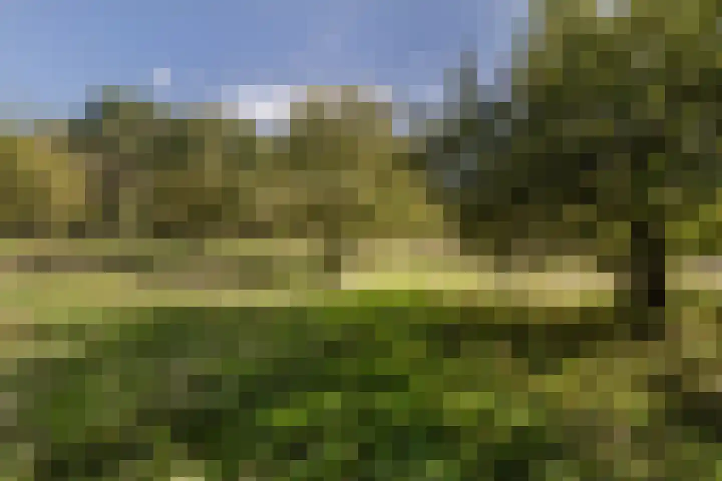 Thull in Schinnen