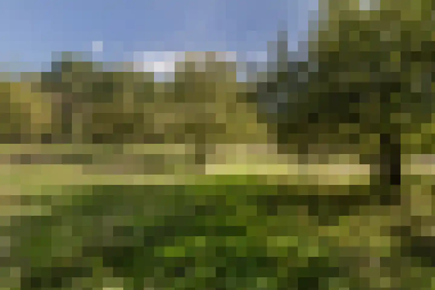 Thull in Schinnen