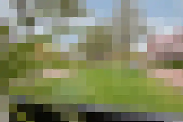 Thüringen 23 Doetinchem thumbnail 18