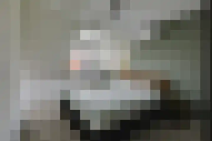 Thüringen 23 Doetinchem thumbnail 36