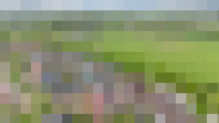 Thüringen 23 Doetinchem thumbnail 4