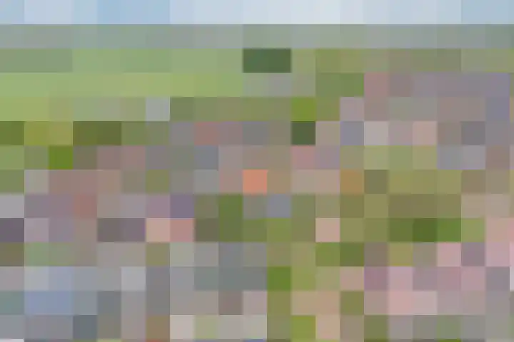 Thüringen 23 Doetinchem thumbnail 62