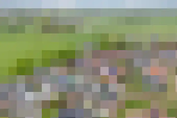 Thüringen 23 Doetinchem thumbnail 63