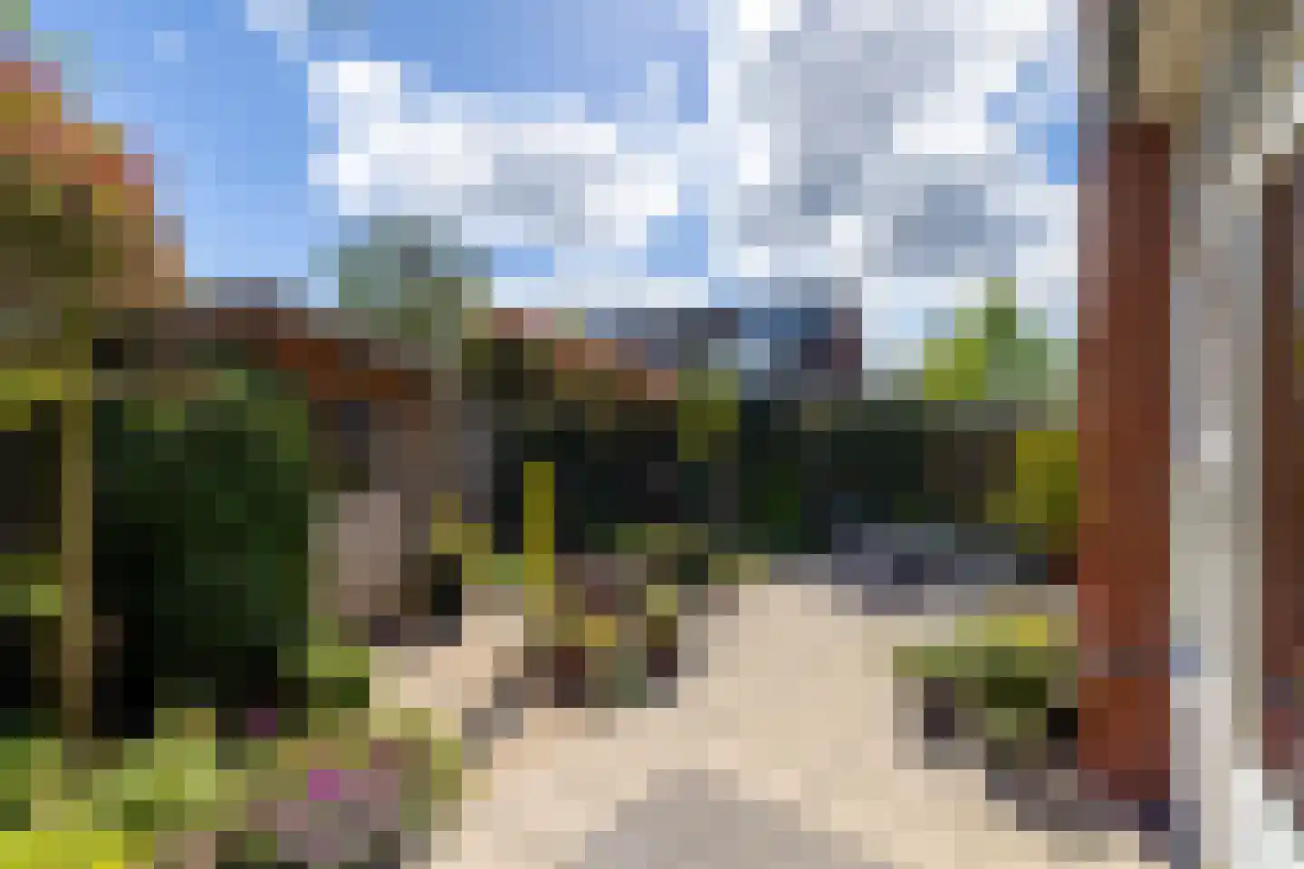 Thüringen 27 Doetinchem thumbnail 22