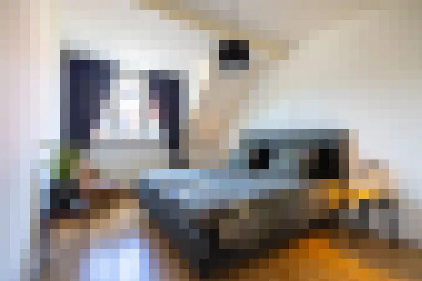 Thüringen 27 Doetinchem thumbnail 34