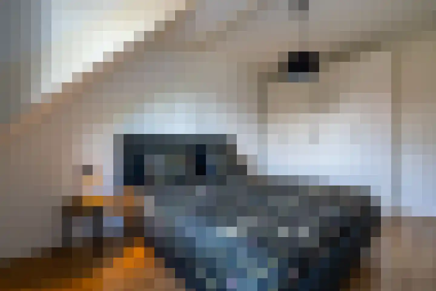 Thüringen 27 Doetinchem thumbnail 36