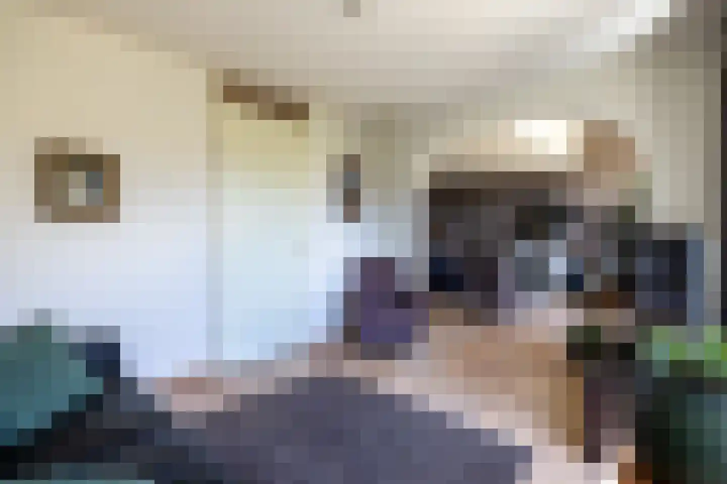 Thüringen 27 Doetinchem thumbnail 8