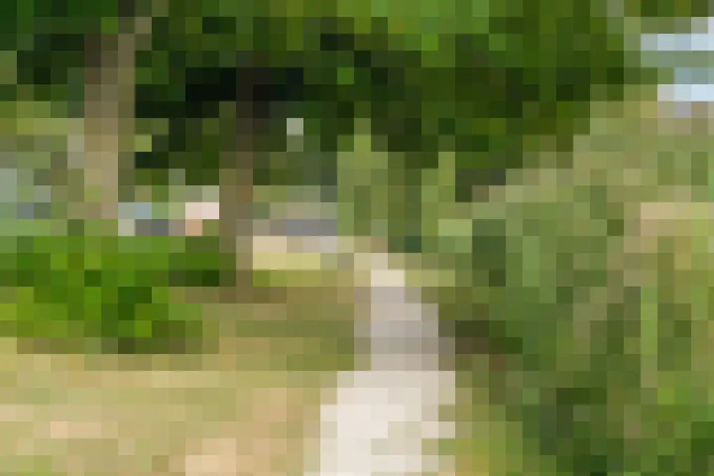 Thurlede 27 Pijnacker thumbnail 41
