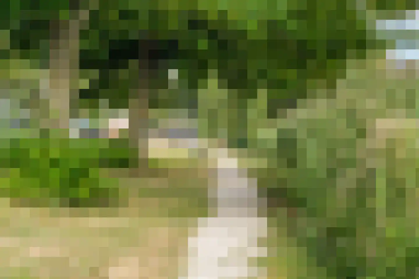Thurlede 27 Pijnacker thumbnail 41