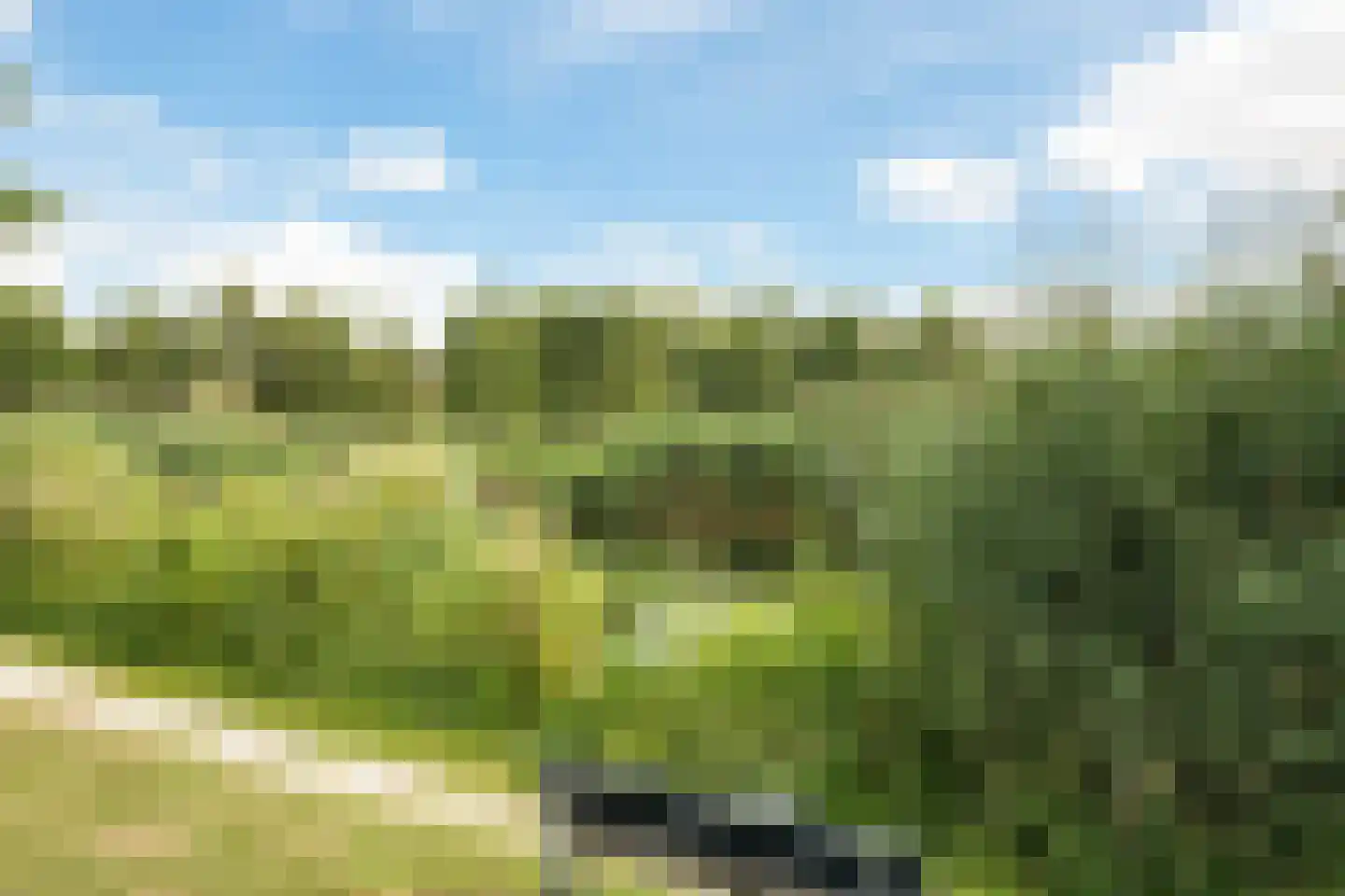 Thurlede 27 Pijnacker thumbnail 42