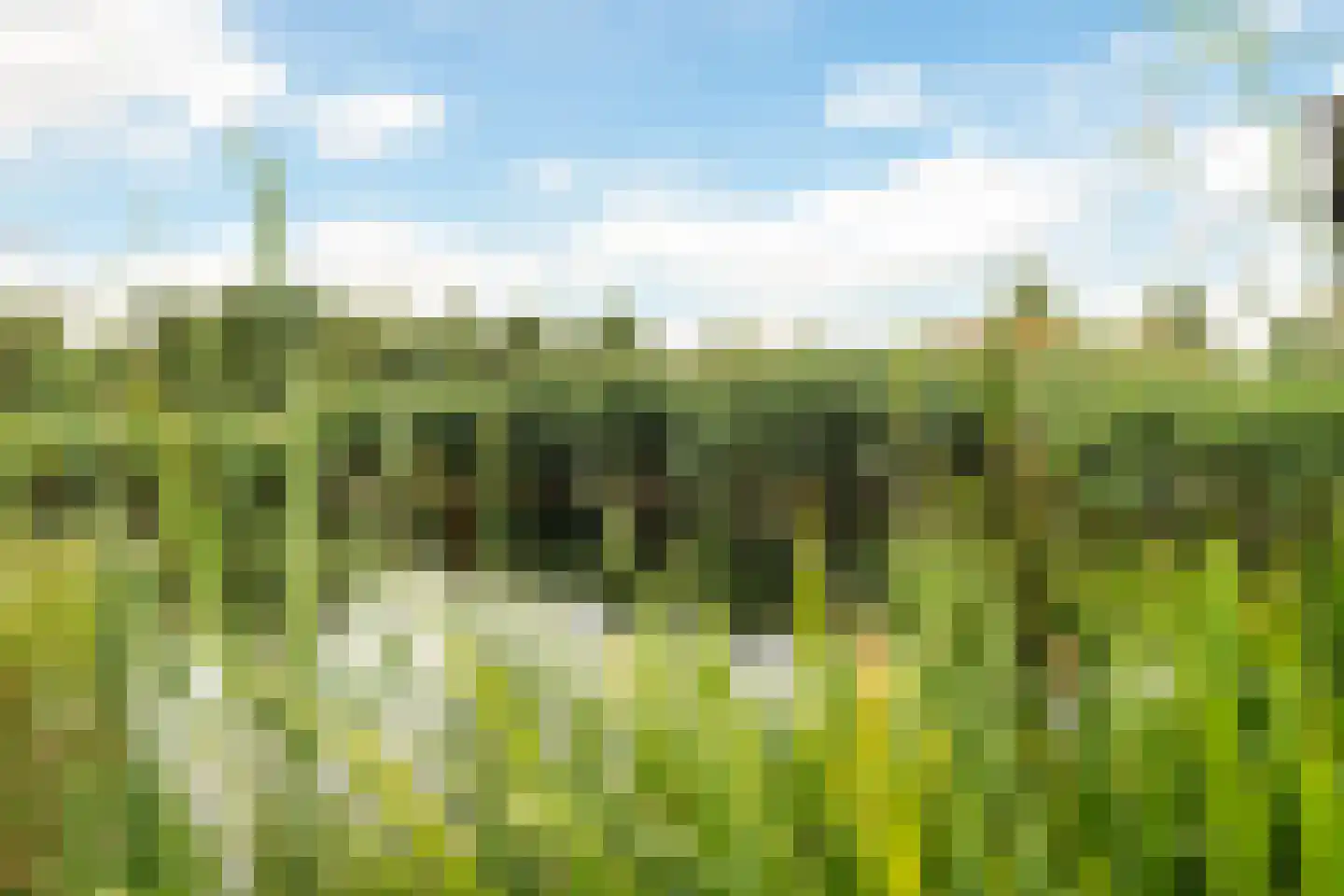 Thurlede 27 Pijnacker thumbnail 43