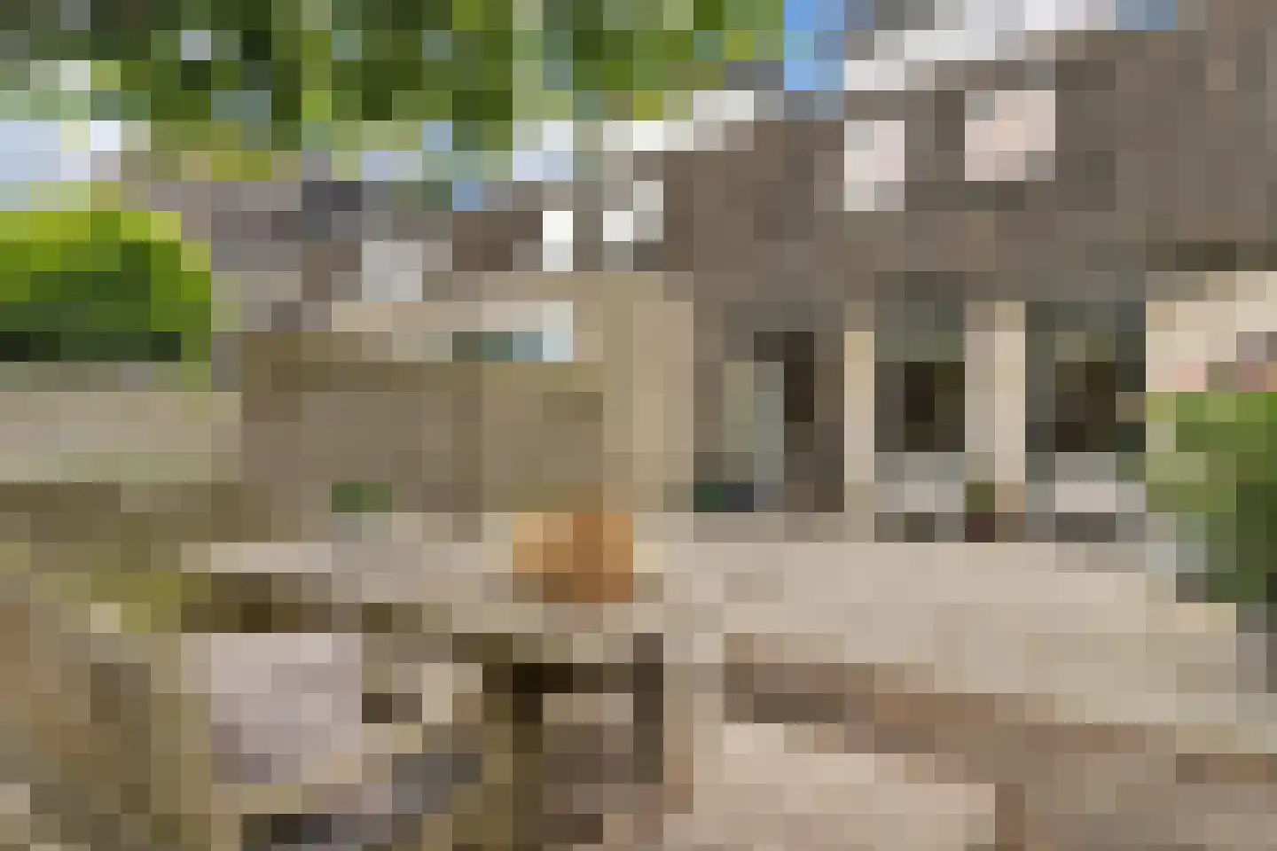 Thurlede 54 Pijnacker thumbnail 21