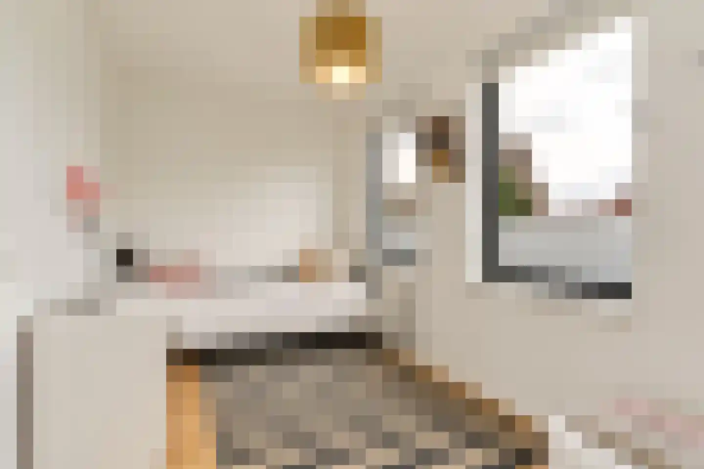 Thurlede 54 Pijnacker thumbnail 31
