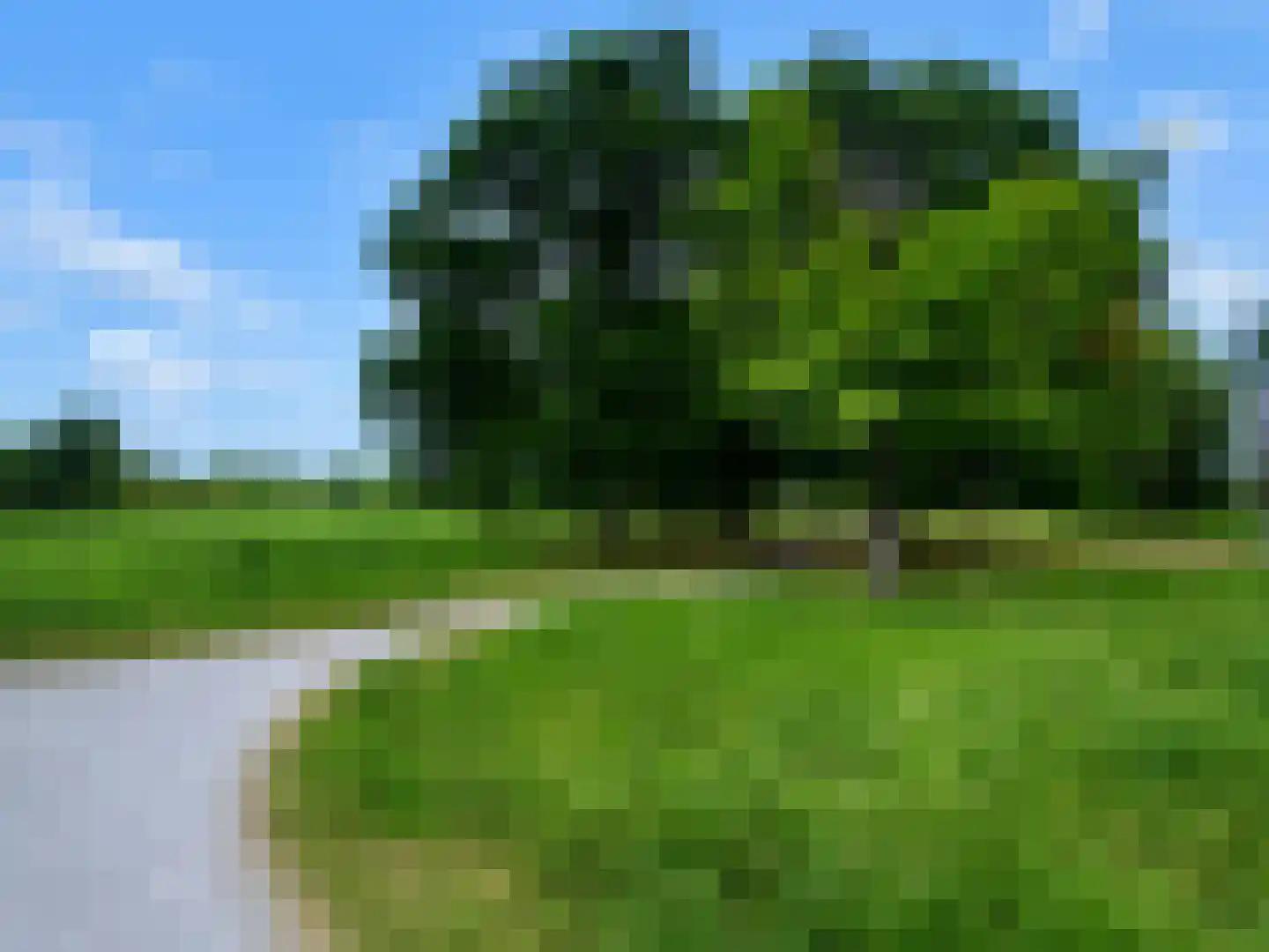 Thurlede 54 Pijnacker thumbnail 43