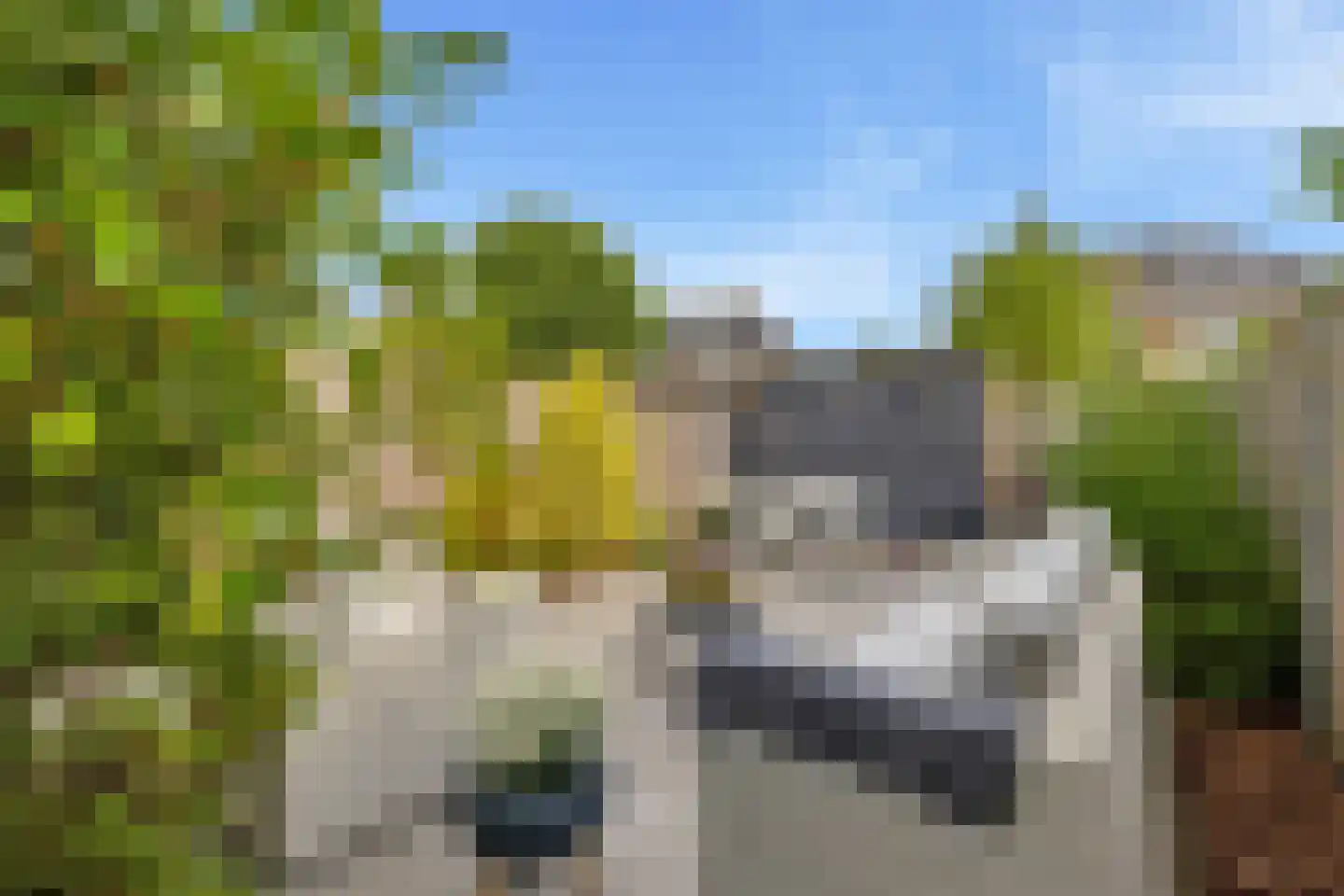 Thurleede 5 Barendrecht thumbnail 17