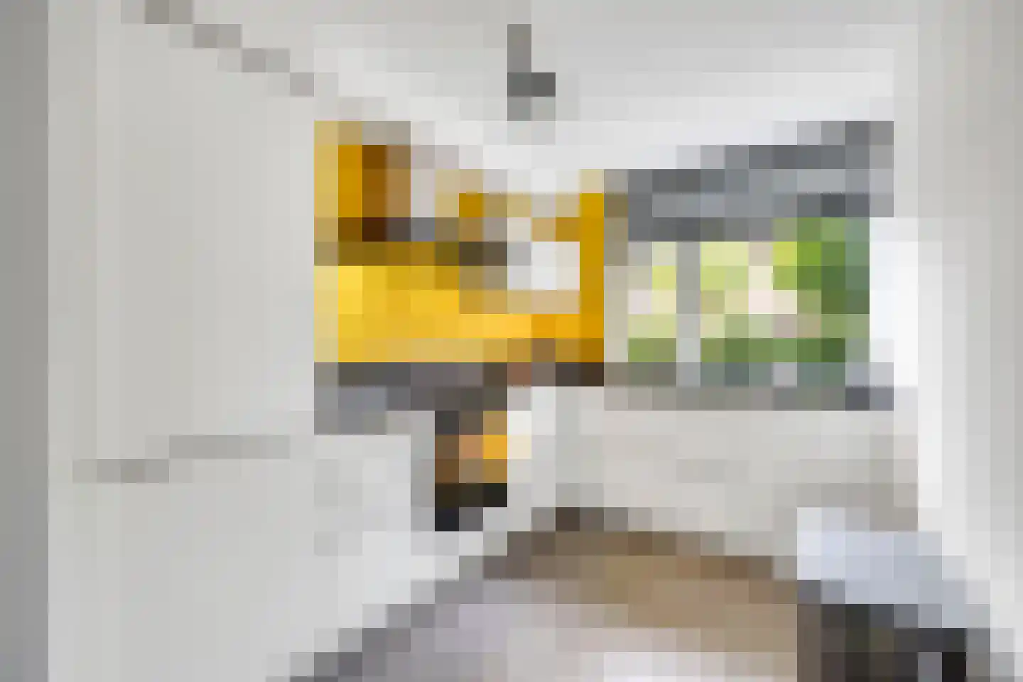 Thurleede 5 Barendrecht thumbnail 5