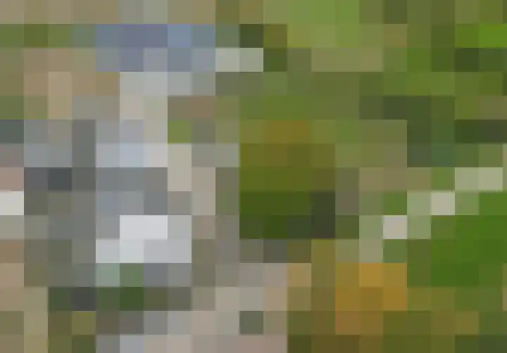 Thuserhof 22 in Roermond