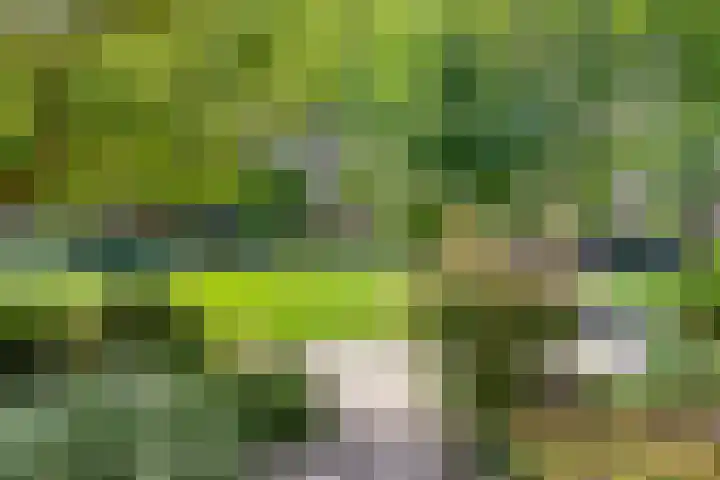 Thuserhof 22 Roermond thumbnail 23