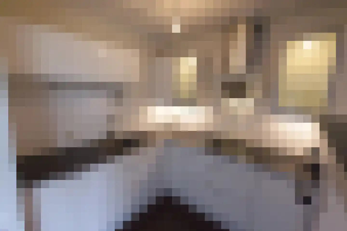 Thuserhof 22 Roermond thumbnail 36