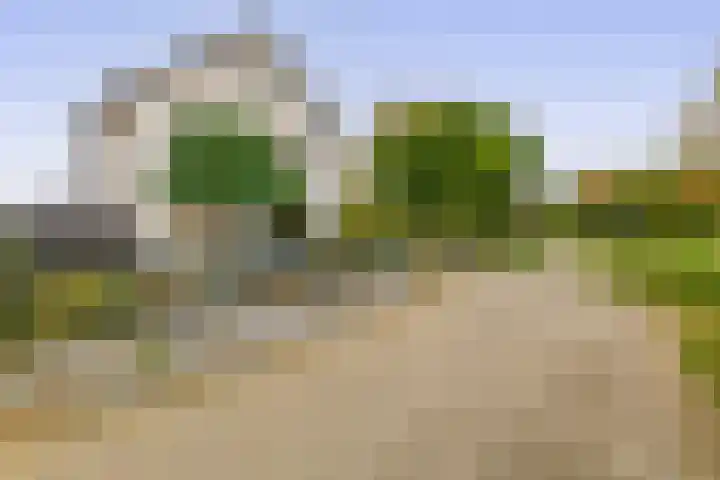 Thuserhof 22 Roermond thumbnail 37