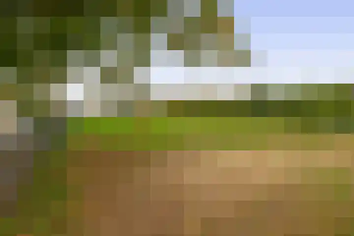 Thuserhof 22 Roermond thumbnail 5