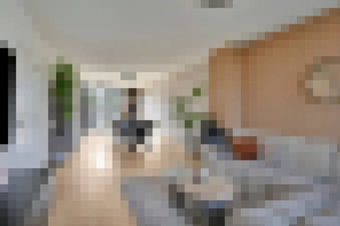 Thuvinestraat 18 Duiven thumbnail 13