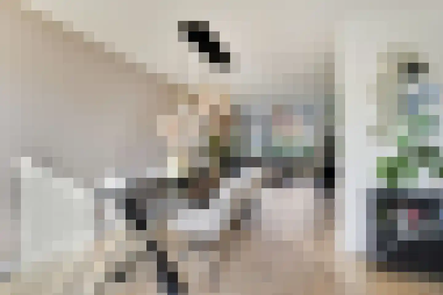 Thuvinestraat 18 Duiven thumbnail 20