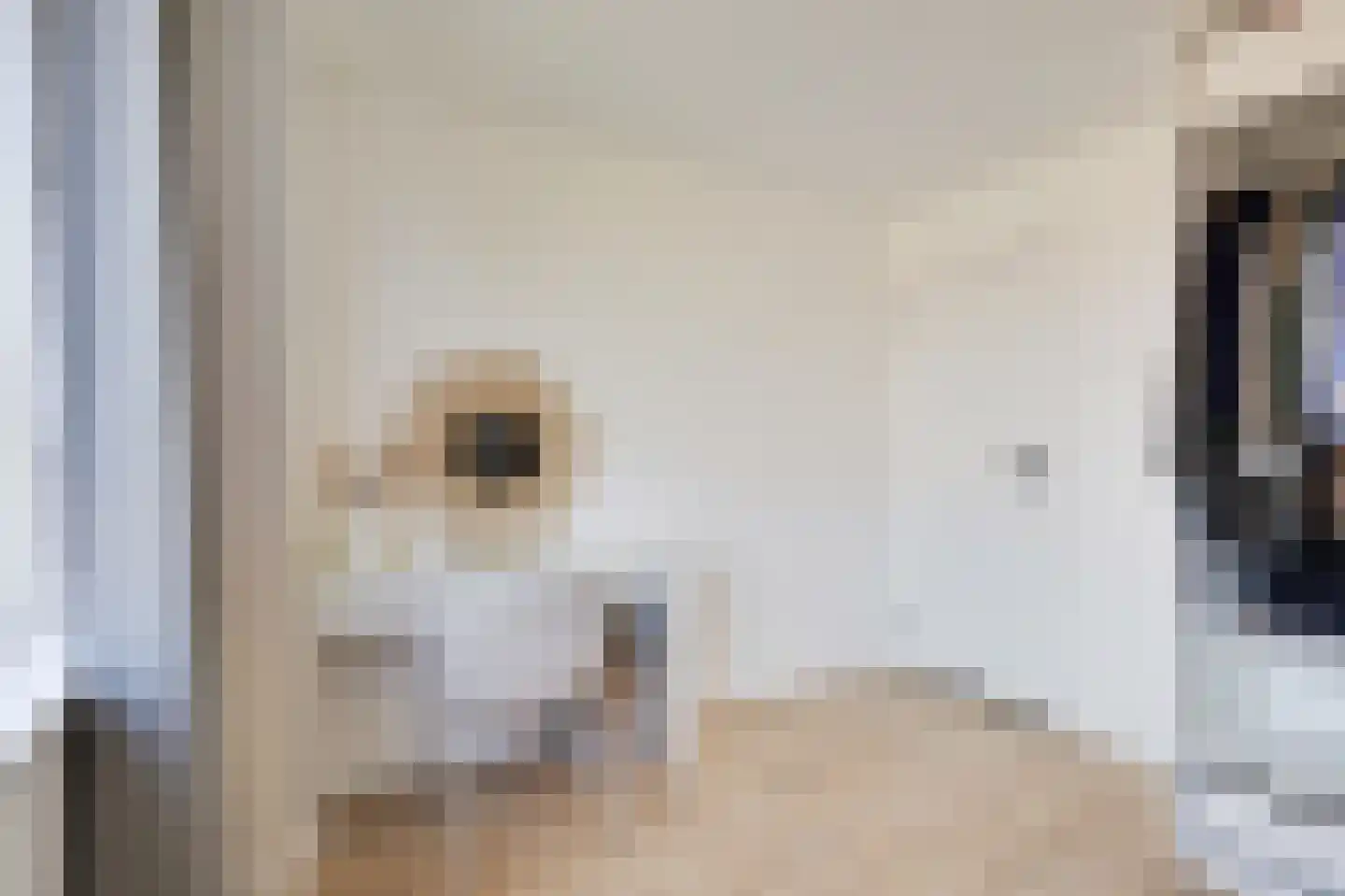 Thuvinestraat 18 Duiven thumbnail 37