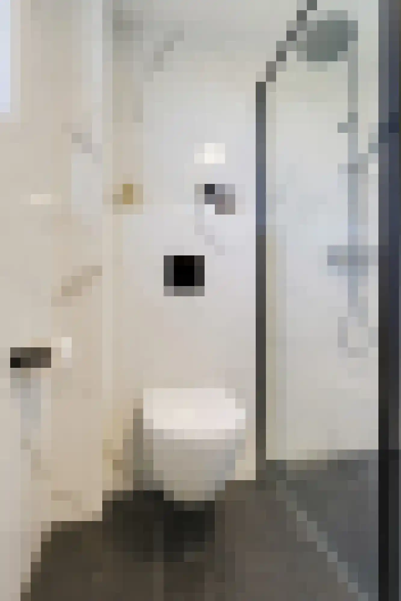 Thuvinestraat 18 Duiven thumbnail 42
