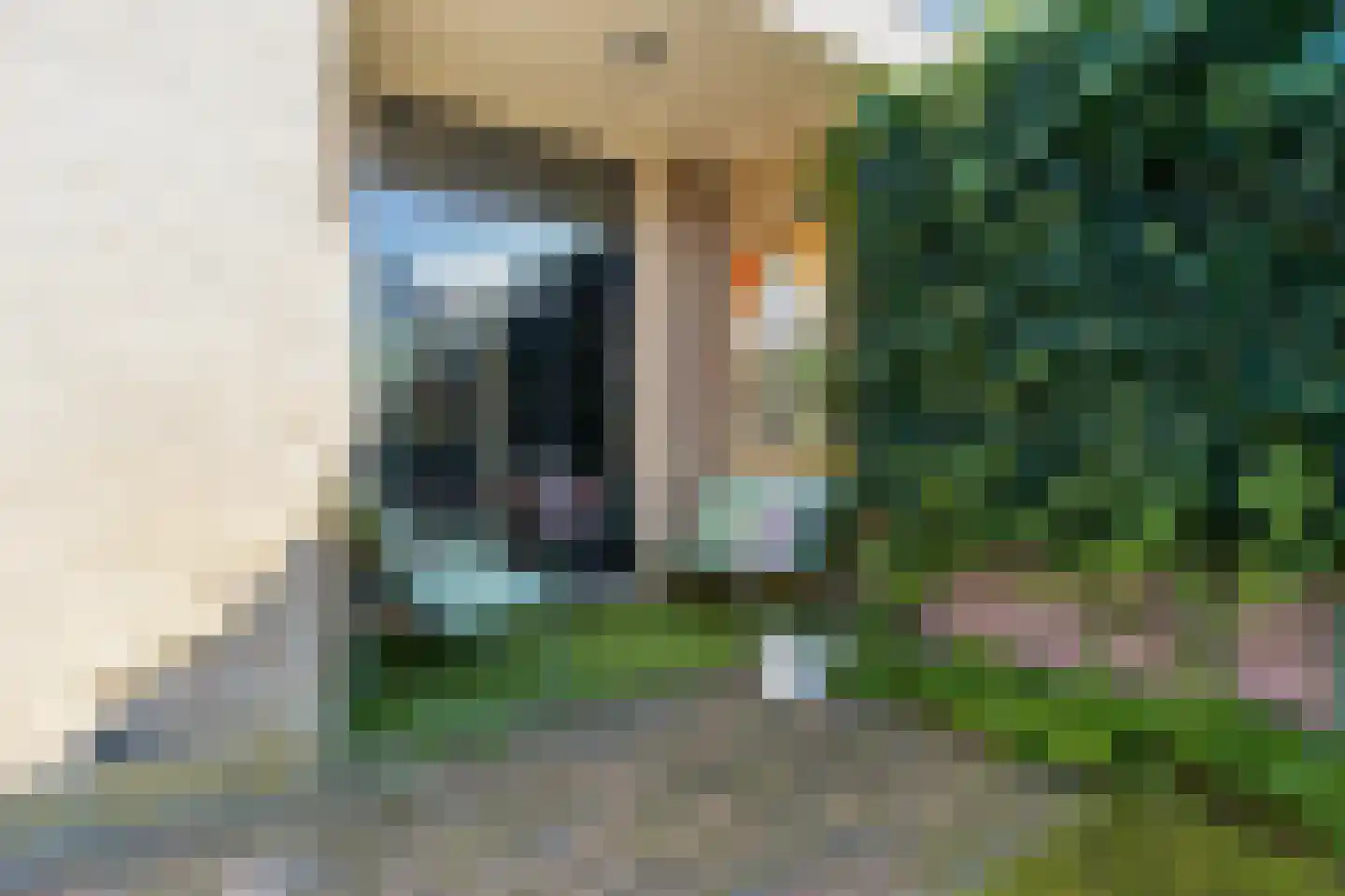 Thuvinestraat 18 Duiven thumbnail 51