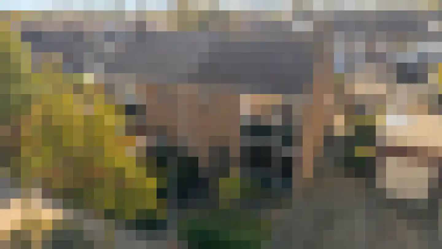 Thuvinestraat 18 Duiven thumbnail 62