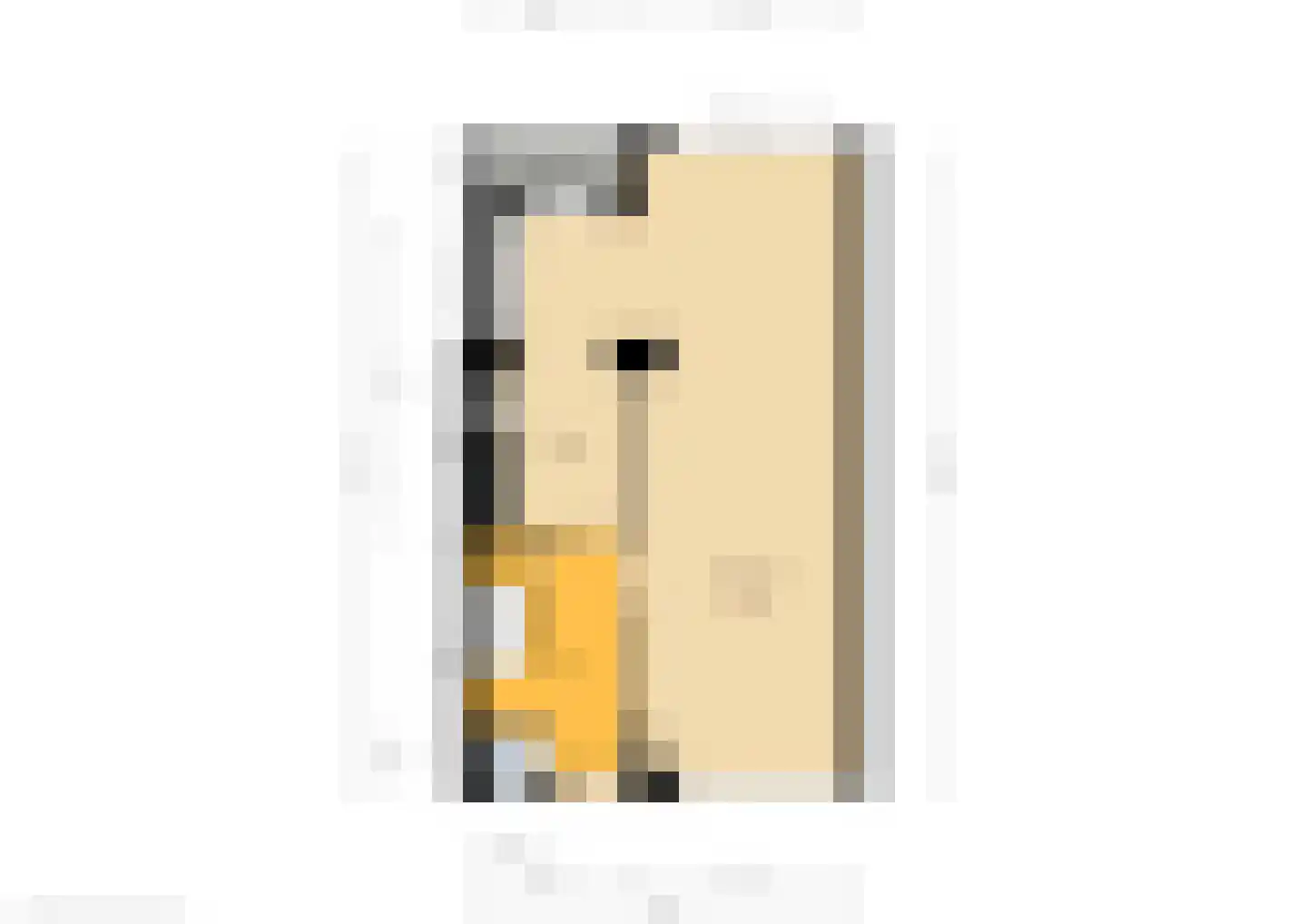 Thuvinestraat 18 Duiven thumbnail 66