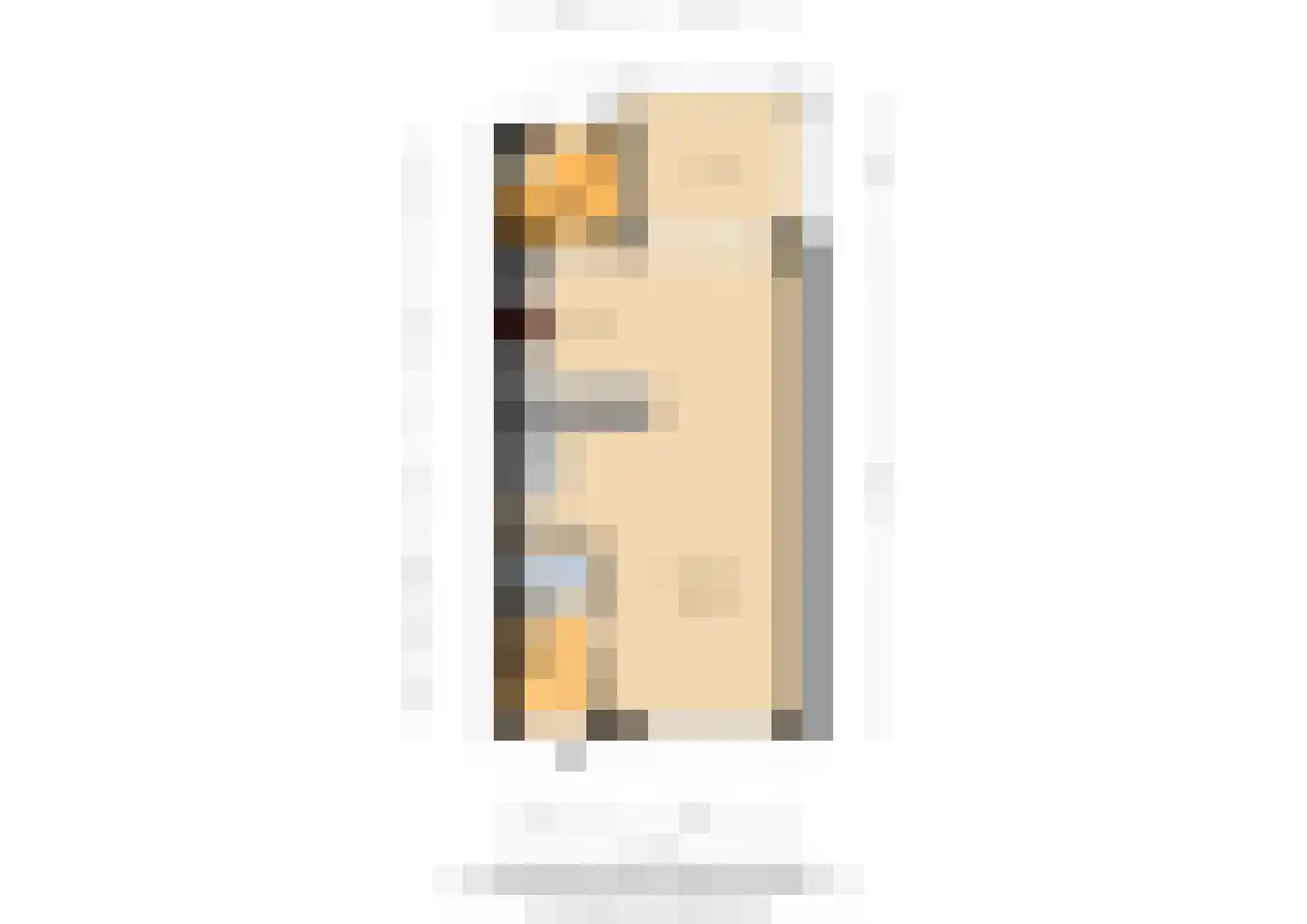 Thuvinestraat 26 Duiven thumbnail 61