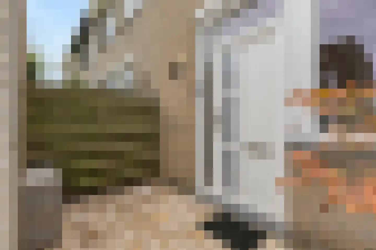 Thuvinestraat 46 Duiven thumbnail 10