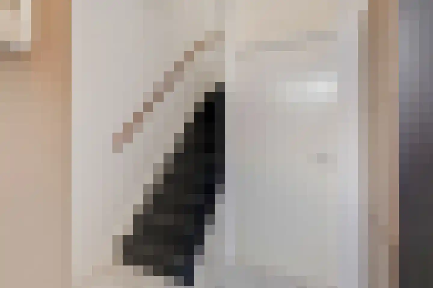Thuvinestraat 46 Duiven thumbnail 11