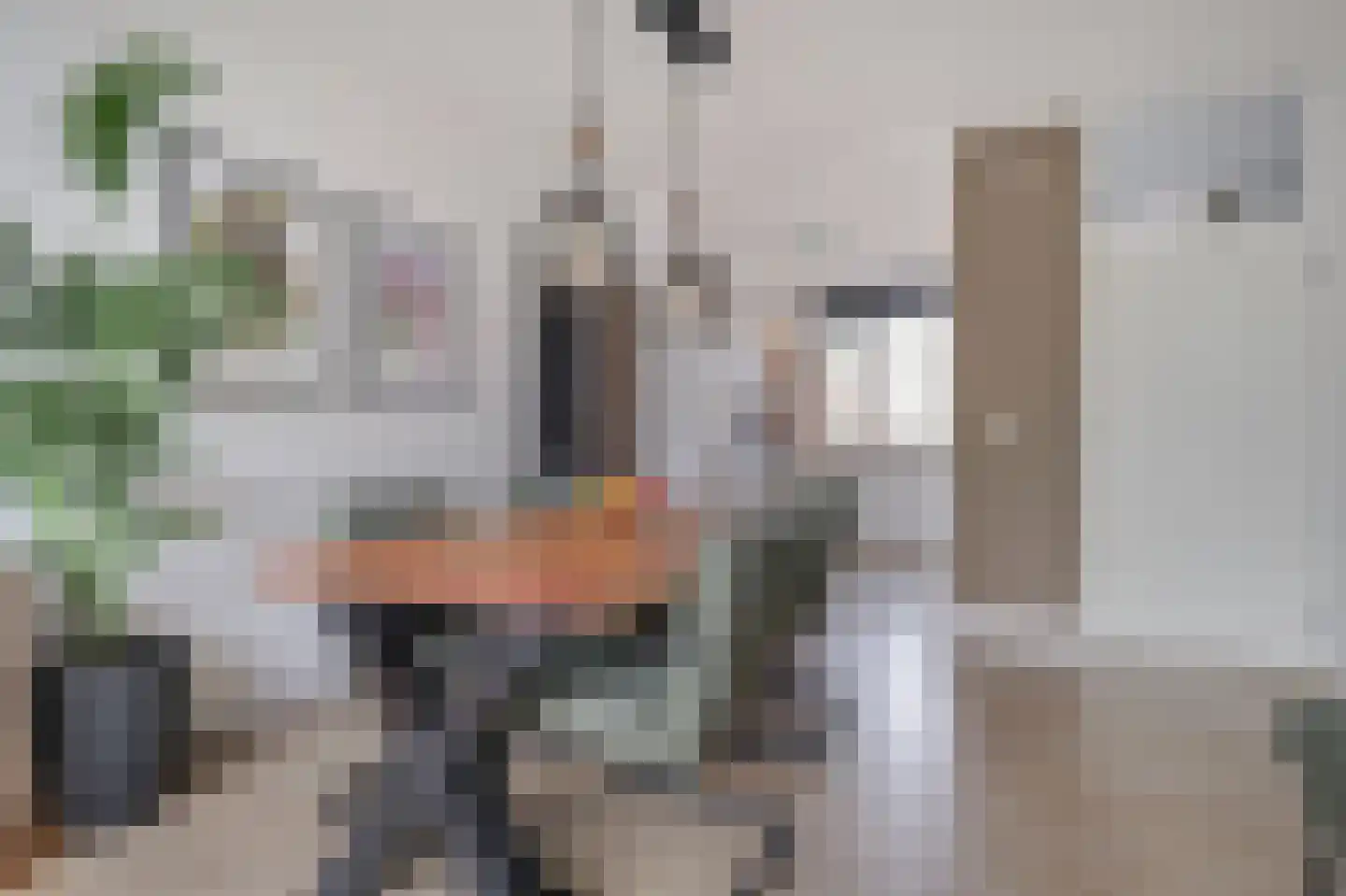 Thuvinestraat 46 Duiven thumbnail 17